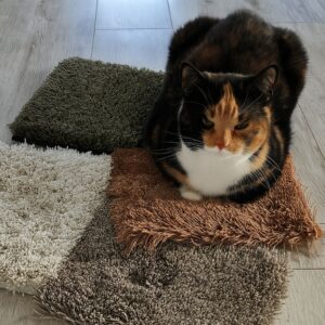 Laadukkaat VM Carpet -matot julkitiloihin myy Oulun Yrityskalusto Oy.