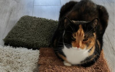 Kuinka valita oikea toimistomatto? – 6 käytännön vinkkiä maton ostoon